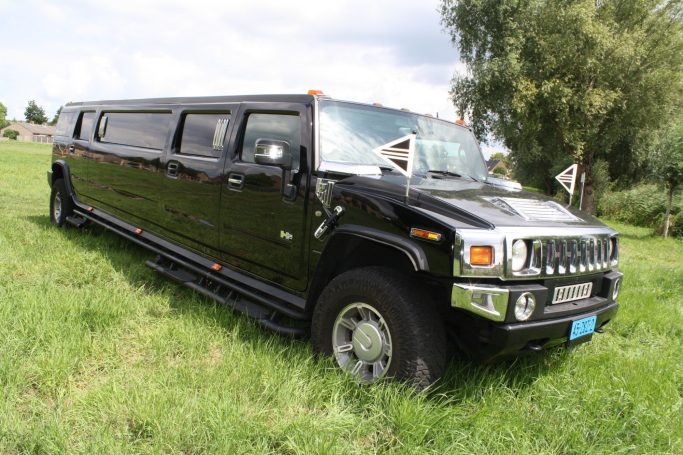Zwarte Hummer limousine geparkeerd op gras met bomen op de achtergrond.